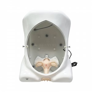 [Hot Item] Sy-Pn355 Advanced PVC Soft and Real Laparoscopic Hysteroscopic Training Simulato for Gynecological
