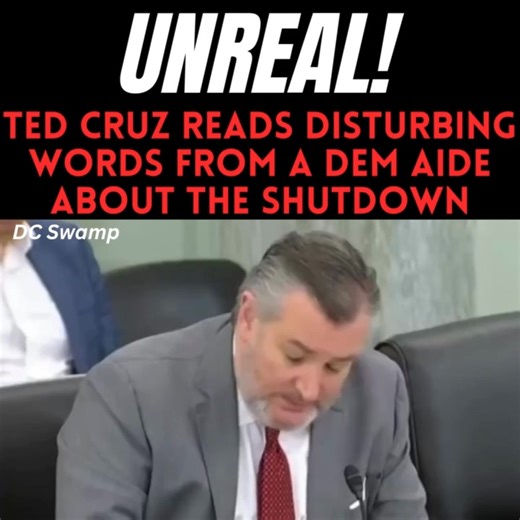 It’s disgusting how far Democrats will go to play politics while Americans suffer. | DC Swamp