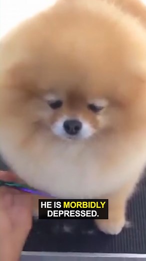 358K views · 7.2K reactions | Cotton mouth sucks.  | Ozzy Man Reviews | Facebook