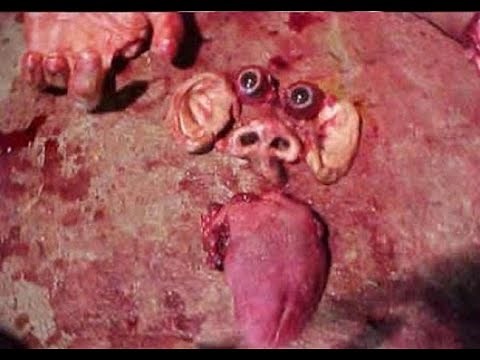 The Shocking Secrets of Daisy's Destruction Revealed