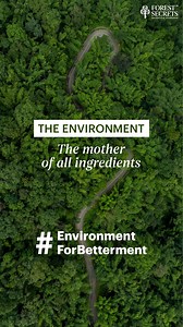 Forest Secrets on Reels