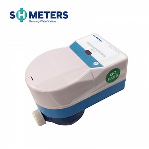 [Hot Item] AMR Smart Remote Reading Residential Pulse Wireless Nb Iot 485 Water Flow Meter