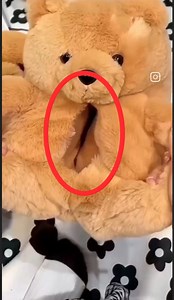 Coropt mind everywhere 🙄😆 | Legendary Davids