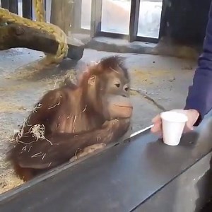 Vidéo à voir au plus vite ! | HeroQuizz