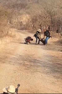 The execution Of The Ant Commander