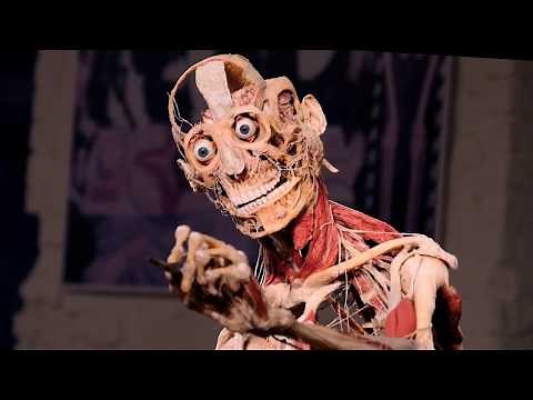 BODY WORLDS & The Art of Plastination