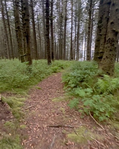 35K views · 4.4K reactions | Back in Alaska | Shirtless Jake's Homestead | Facebook