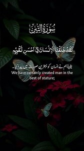 Surah Al-Tin | Beautiful Quran Recitation | Surah Teen Tilawat with Urdu Translation