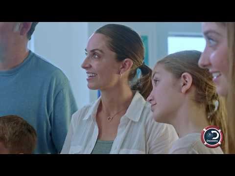 Land of Sharks – Jurassic Shark