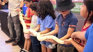 🐸 ¡La magia llegó a Pradera Escuintla con el Show de Chepe Mazacuata! 🌟 Sus increíbles reptiles hicieron de este día una experiencia única. Aventuras, diversión y mucha emoción en cada momento. 🐍✨ ¡Si no viniste, no dejes que te lo cuenten! 🦎🦂 #MomentosPradera #LaDiversiónEsLoNuestro #DondeLaMagiaSucede✨ | Pradera Escuintla