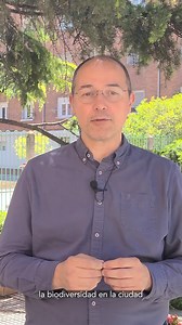 ¡Descubre el proyecto “Valladolid: caminos de biodiversidad”! 🌆🌿 Nuestro concejal de Medio Ambiente, Alejandro García Pellitero, nos presenta este innovador proyecto que busca transformar nuestra ciudad, integrando la biodiversidad en su planificación urbana. Acompáñanos en este viaje hacia una Valladolid más verde y sostenible. Fundación Biodiversidad Plan de Recuperación #CaminosDeBiodiversidad #PlanificaciónUrbana #Biodiversidad #MedioAmbiente #Valladolid #Renaturalización #BiodiversidadVal