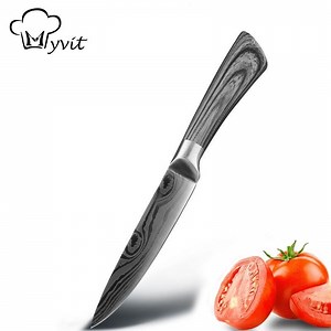 Kitchen Knife 5" Utility Knives Stainless Steel Japanese Chef Knives Damascus Laser Vegetables Slicing Fruits Paring Knife with ABS Ergonomic Handle,Gray - Walmart.com