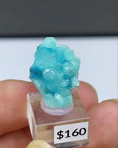 Smithsonite, rosasite and aurichalcite from Yanga Koubenza (Rep. of Congo). Size: 1.9 cm, price: $160 ( shipping fee). We ship worldwide. Please DM to claim or get more details - we can provide high quality video. To see more of our minerals visit www.SpiriferMinerals.com 11115 #spiriferminerals #spirifer #spirfernews #newsfromspirifer #mineralcollecting #mineralspecimen #mineralcollection #rockhounding #rockhound #minerals #mineral #rocks #rock #fineminerals #mineralogy #geology #crystalsforsal
