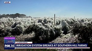 Florida farm drenched in ice amid freezing temperatures