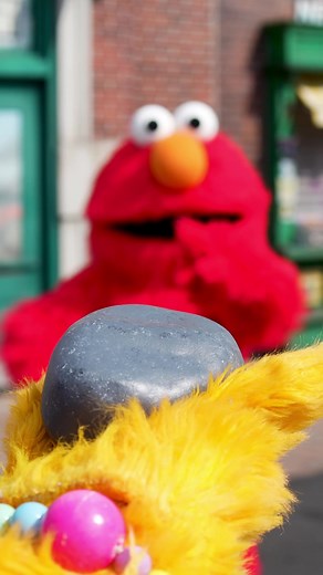 Rocco Meets Elmo for the First Time at Sesame Place