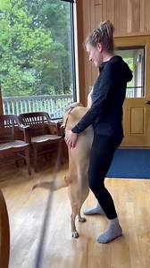 White Paws German Shepherd Rescue on Reels