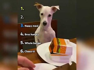 🤣👌👌👌2026 pov Must-Watch Crazy Clips Compilation #humor #fypシ #pov #fyp #foryou 😍😜