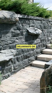 3.9K views · 166 reactions | We just can’t get over the look of these...