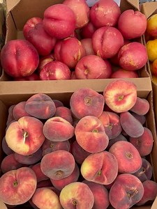 Portland Farmers Market on Reels | Facebook