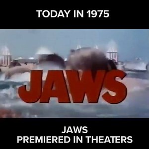 1.3K views · 37 reactions | Remember to watch this movie... before you swim!  | HDNET MOVIES | Facebook