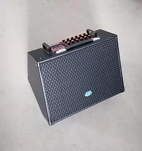 [Hot Item] Battery Acoustic Guitar Power Amplifier Portable Speaker