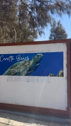 #repost @ecologicalmovementcy Our annual beach clean up campaign Wish you were Clean Vol. VI is here!!! We are organizing 4 beach clean-ups all over Cyprus this year to tackle pollution on our beaches! Our locations for this year: Larnaka, Softades (Careta Beach), Sunday 06 July at 09:00. Famagusta, Agia Thekla, (Sirens Beach), Sunday 27 July at 09:00. Limassol, Lady’s Mile Beach, Sunday 24 August at 09:00. Akamas, Lara Beach, Saturday 30 August at 10:00. Information and registration for the fir