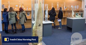 Iceland breaks taboo with world's largest penis museum