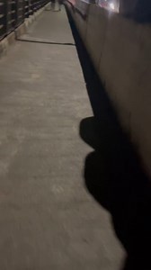 wetwett | Positive Fact