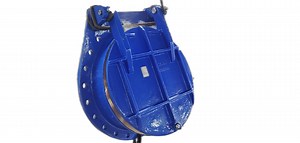 [Hot Item] Ductile Iron Stainless Steel 316L Water Flap Check Valve