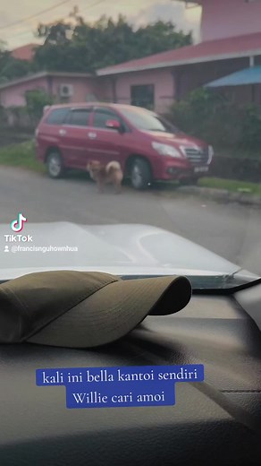 46K views · 3.2K reactions | Willie dgn amoi depan simpang  | Francis ngu hown hua page | Facebook