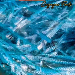 BUGUEY CAGAYAN INTAYU MAKIPAGDAKLIS.. #BULONGUNAS | Cagayan Foods
