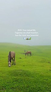 📍Mt. Tagaytay , Toledo , Cebu | Pobreng Latagaw