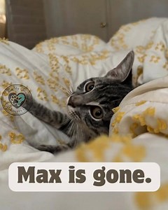 277K views · 4.7K reactions | My toddler found him before I did in...