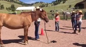 Nighthawk Ranch for kids with cancer. Giving the girls a demo on what level of communication can be achieved. | Justin Dunn Mustang Horsemanship