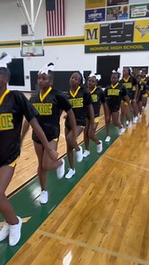 MCHS Cheerleaders on Reels