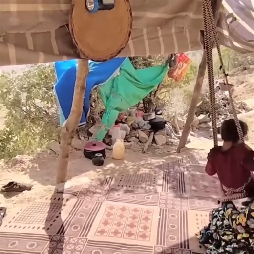 4.2K views · 55 reactions | Father returning to the mountains and surprising his wife and young child | Pet Lover | Facebook