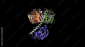 Crystal structure of E. coli heat-labile enterotoxin with bound galactose, animated 3D cartoon and Gaussian surface models, based on PDB 1lta, black background