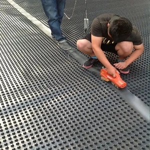 [Hot Item] High Quality Wholesale Cheap Dimpled Drainage Sheet