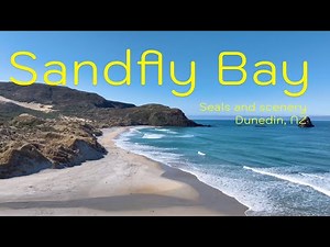 Sandfly Bay, Dunedin, New Zealand