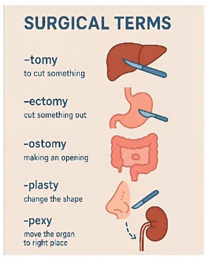 BALAJI medical education | Surgical Terms . . #surgical #surgery #mbbs #mbbsstudent #viral #medical #tranding #nursing #doctor #nursingstudent #cardiology #neetpg... | Instagram