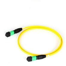 [Hot Item] Manufacture Price MPO/MTP Fiber Optic Patch Cord/Jump Wire