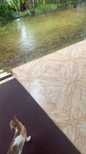 Oh my God😂 #RadioClassic | Radio Classic