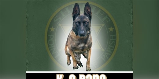 Charity donates body armor to K9 officer in Pointe Coupee Parish