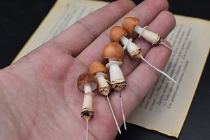 Realistic Mushroom Terrarium Figurines: Handmade Cold Porcelain Set - Etsy