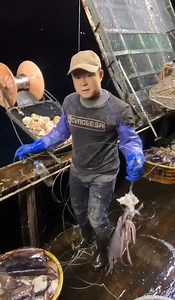 666K views · 10K reactions | Deep Sea Giant Squid Fishing | Dashama Konah | Facebook