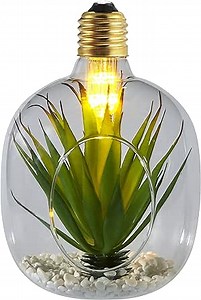 Glass Decorative Planting LED Light Bulb - E26 Screw Filament Modern Pendant Light Bulbs