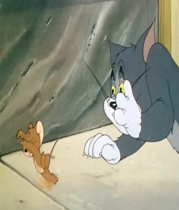 Tom and Jerry Cartoon | Sean Dode