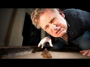 I Tried 3 Ways to Pick Up Dog Poo — Two Failed Badly