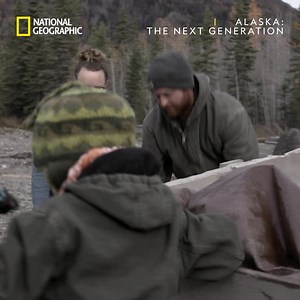 Når man bor i Alaska, og skal fange sin egen mat, må man være ekstra forsiktig. Få med deg premieren av Alaska: Next Generation torsdag kl. 22.00. | National Geographic