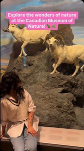 1.9K views | Explore the wonders of nature at the Canadian Museum of...